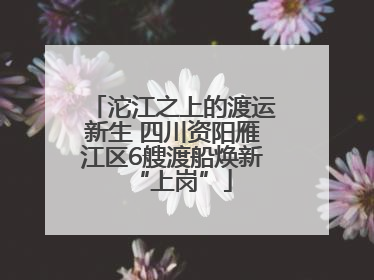 沱江之上的渡运新生 四川资阳雁江区6艘渡船焕新“上岗”