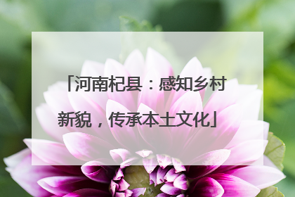 河南杞县：感知乡村新貌，传承本土文化
