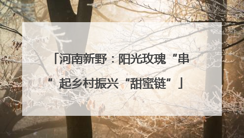河南新野：阳光玫瑰“串”起乡村振兴“甜蜜链”
