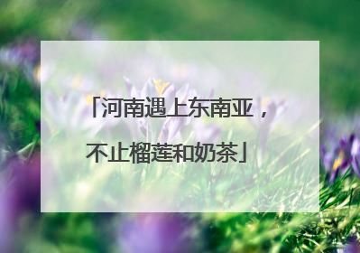 河南遇上东南亚，不止榴莲和奶茶