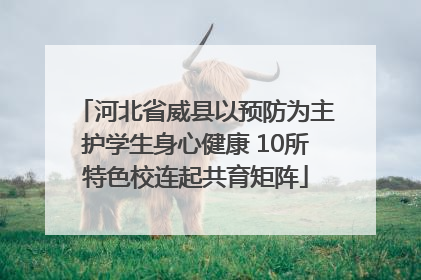 河北省威县以预防为主护学生身心健康 10所特色校连起共育矩阵