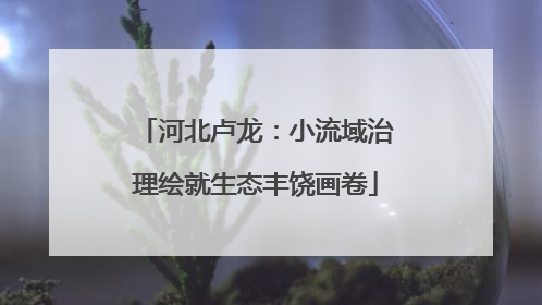河北卢龙：小流域治理绘就生态丰饶画卷