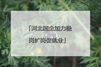 河北国企加力稳岗扩岗促就业