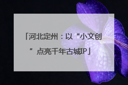 河北定州：以“小文创”点亮千年古城IP