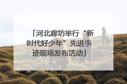 河北廊坊举行“新时代好少年”先进事迹现场发布活动