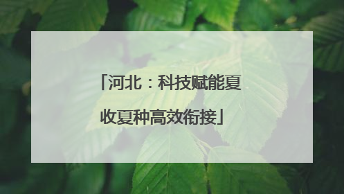 河北：科技赋能夏收夏种高效衔接