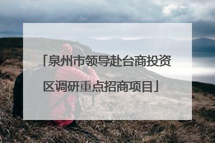 泉州市领导赴台商投资区调研重点招商项目