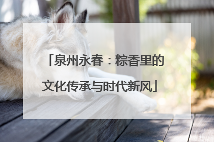 泉州永春：粽香里的文化传承与时代新风