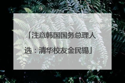 注意韩国国务总理人选：清华校友金民锡