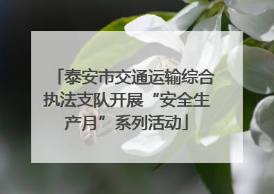 泰安市交通运输综合执法支队开展“安全生产月”系列活动