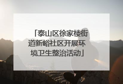 泰山区徐家楼街道新峪社区开展环境卫生整治活动