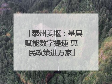 泰州姜堰：基层赋能数字提速 惠民政策进万家