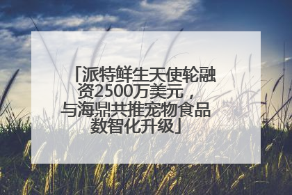 派特鲜生天使轮融资2500万美元，与海鼎共推宠物食品数智化升级