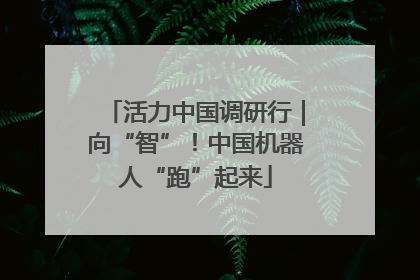 活力中国调研行｜向“智”！中国机器人“跑”起来