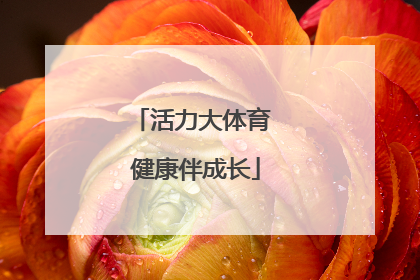 活力大体育 健康伴成长