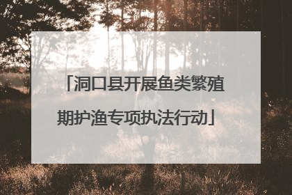 洞口县开展鱼类繁殖期护渔专项执法行动