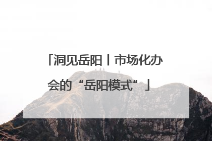 洞见岳阳丨市场化办会的“岳阳模式”