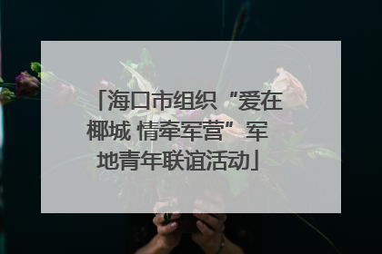 海口市组织“爱在椰城 情牵军营”军地青年联谊活动