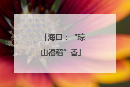 海口：“琼山福稻”香