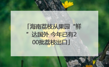 海南荔枝从果园“鲜”达国外 今年已有200批荔枝出口