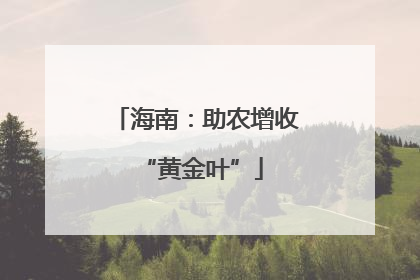 海南：助农增收 “黄金叶”