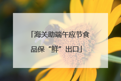 海关助端午应节食品保“鲜”出口