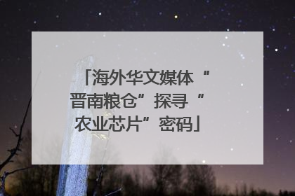 海外华文媒体“晋南粮仓”探寻“农业芯片”密码