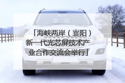 海峡两岸（襄阳）新一代光芯屏技术产业合作交流会举行