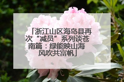 浙江山区海岛县再次“减员”系列谈苍南篇：绿能映山海 风吹共富帆