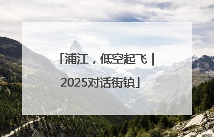 浦江，低空起飞｜2025对话街镇