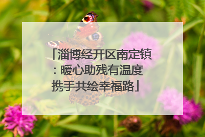 淄博经开区南定镇：暖心助残有温度 携手共绘幸福路