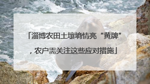 淄博农田土壤墒情亮“黄牌”，农户需关注这些应对措施