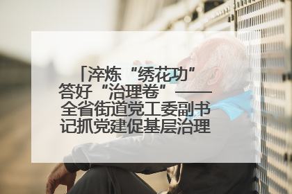 淬炼“绣花功” 答好“治理卷”——全省街道党工委副书记抓党建促基层治理培训示范班侧记