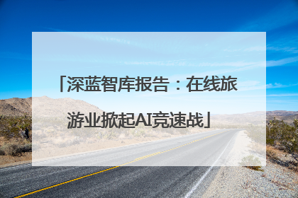 深蓝智库报告：在线旅游业掀起AI竞速战