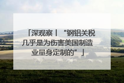 深观察丨“钢铝关税几乎是为伤害美国制造业量身定制的”