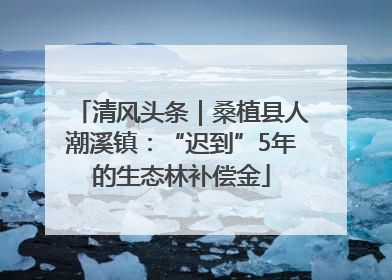 清风头条｜桑植县人潮溪镇：“迟到”5年的生态林补偿金