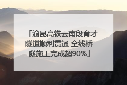 渝昆高铁云南段育才隧道顺利贯通 全线桥隧施工完成超90%