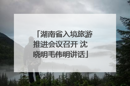 湖南省入境旅游推进会议召开 沈晓明毛伟明讲话