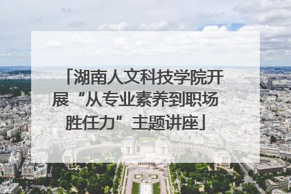 湖南人文科技学院开展“从专业素养到职场胜任力”主题讲座
