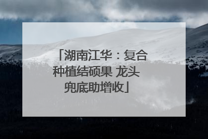 湖南江华：复合种植结硕果 龙头兜底助增收