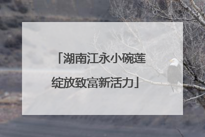 湖南江永小碗莲绽放致富新活力