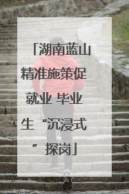 湖南蓝山精准施策促就业 毕业生“沉浸式”探岗