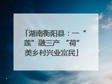 湖南衡阳县：一“莲”融三产 “荷”美乡村兴业富民