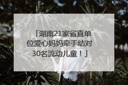 湖南21家省直单位爱心妈妈牵手结对30名流动儿童！