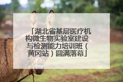 湖北省基层医疗机构微生物实验室建设与检测能力培训班（黄冈站）圆满落幕
