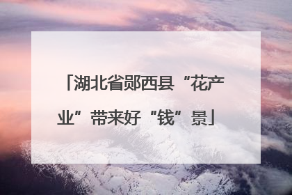 湖北省郧西县“花产业”带来好“钱”景