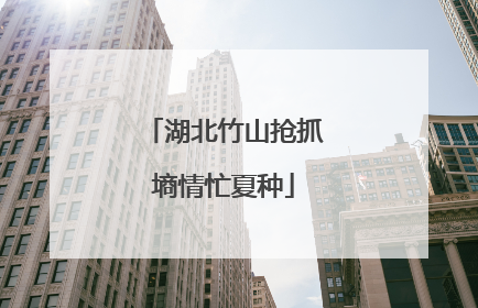 湖北竹山抢抓墒情忙夏种