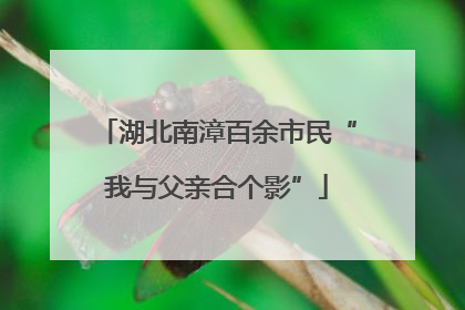 湖北南漳百余市民“我与父亲合个影”