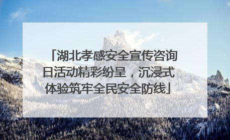 湖北孝感安全宣传咨询日活动精彩纷呈，沉浸式体验筑牢全民安全防线