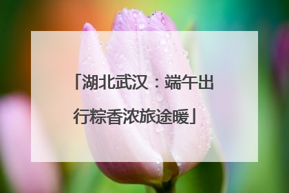 湖北武汉：端午出行粽香浓旅途暖